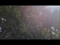[結月祭出展動画]   映画、魔女の宅急便より「やさしさに包まれたなら」