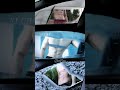 Transition Challenge || Bebot 拍手变装BGM #transition #shorts