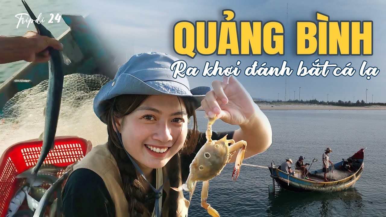 1 ngày ra khơi đánh bắt, gặp toàn cá lạ ở Quảng Bình | Tripdi 24
