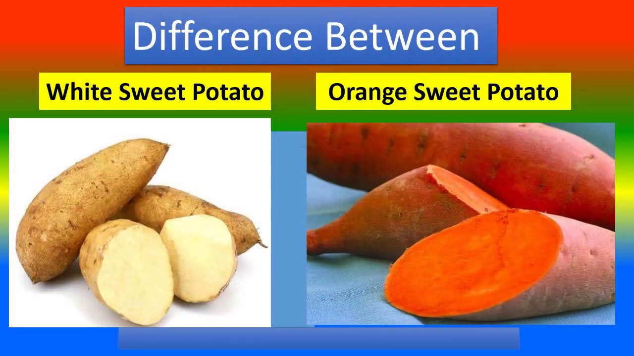 What Are White Sweet Potatoes (And Why Aren't They Orange)?