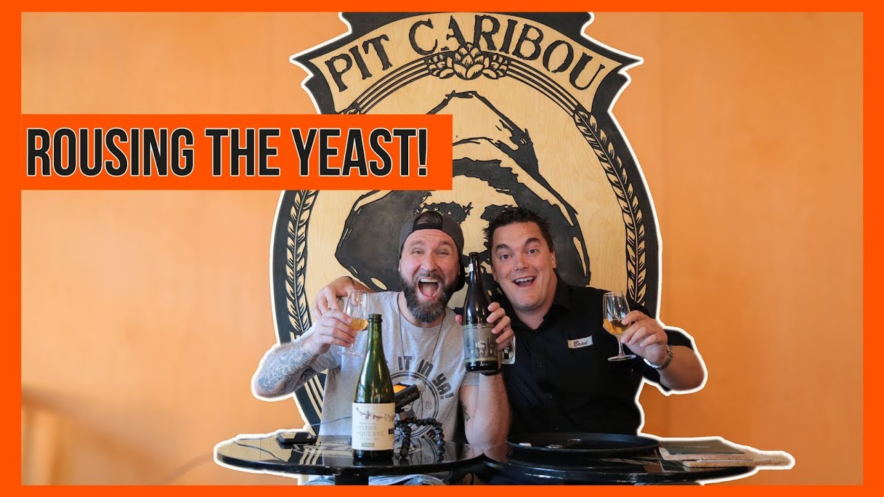Shhh Worlds Largest Brat Fest Is >> Call Brad For A Good Time With Brad Murray Pit Caribou Beer Shhh Worlds Largest Brat Fest Is >> Call Brad For A Good Time With Brad Murray Pit Caribou Beer