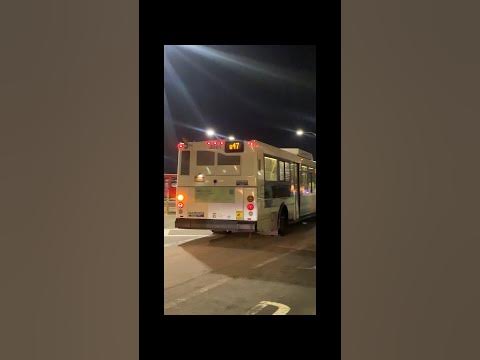 Queens, New York - Q47 Bus Route - Hybrid Electric Bus - Orion VII HEV