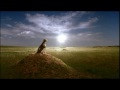 Wat Led Je Tv Reclame met Jan Smit