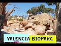 VALENCIA BIOPARC. SPAIN