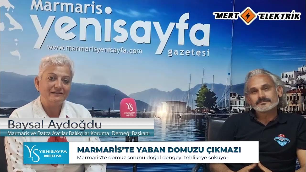 MARMARİS’TE YABAN DOMUZU ÇIKMAZI