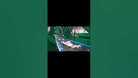 Sorting of Waste PET Bottle based on Different Color by Delta Robot(spider robot)