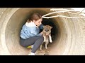 Scared Puppy Living in Pipe Melts in Rescue&#39;s Arms after Being Rescued