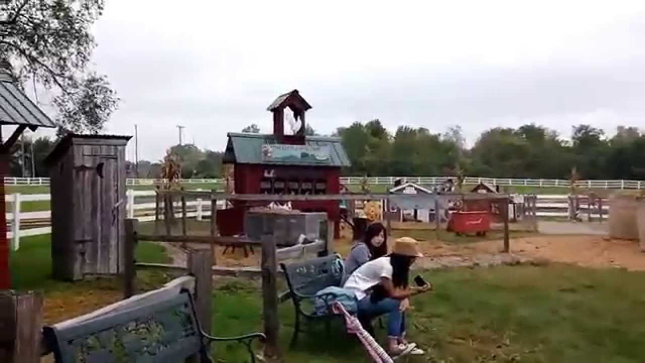 A visit to Three Cedars Farm Northville MI YouTube