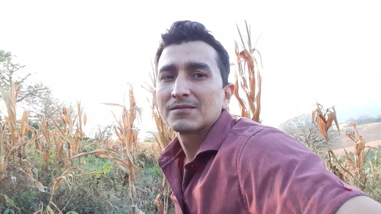 El tomatillo YouTube