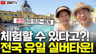 미리 체험할 수 있는 전국 유일 실버타운! 뜨끈한 온천물은 덤 ♨️ (동해약천온천 실버타운)