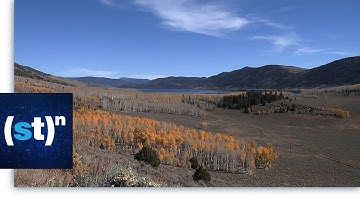 Pando, One of the Oldest and Largest Organisms | SciTech Now