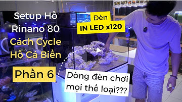 [Part 6] Hướng dẫn Set-up hồ Rinano 80 Basic Nuôi San Hô Cá Biển: Lắp Đèn In Led x120 vào bể dễ ẹt