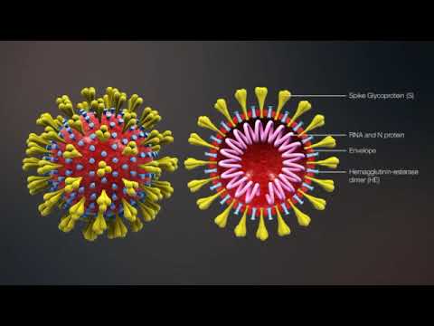 how-to-coronavirus-covid19-attack-and-how-to-treat-it?-check-here-http://raboninco.com/7yxn