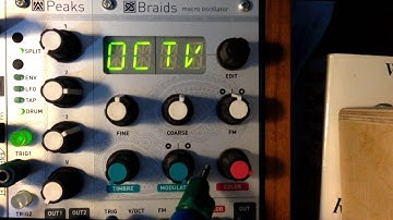 Braids Alternate Firmware: Bees in the Trees