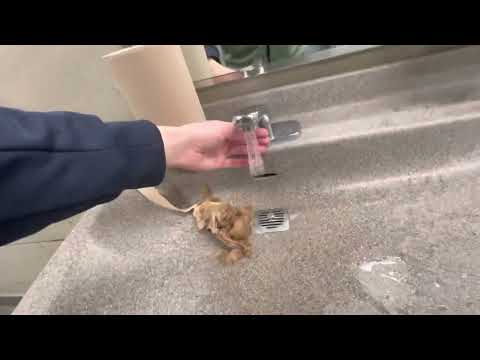 Lowe S Home Improvement Men S Restroom Full Shoot