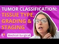 Tumor Classification: Tissue Type, Grading, Staging - Med-Surg (2020 Update) Immune