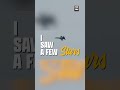 Call Sign: Pato O'Ward