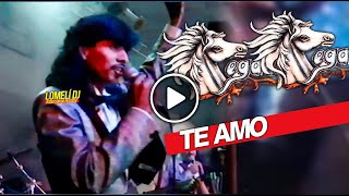 Video thumbnail of "1990 - TE AMO - Jose Santos El Titere - El Pega Pega Pegasso En Vivo -"