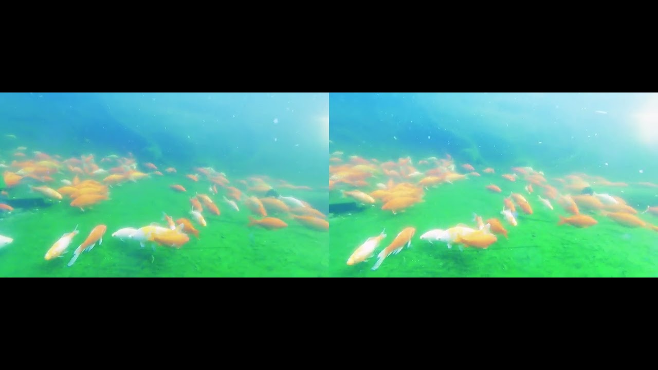 Pink Panther Crash Fish 3D SBS