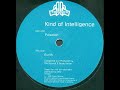 Kind Of Intelligence – Pulsation / Eurith (1996)