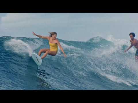 corona-extra-|-surf