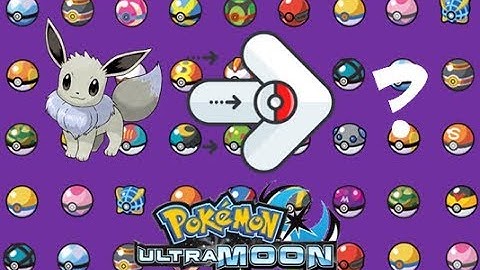 Shiny Eevee after an AMAZING 23 SOS ENCOUNTERS! (with mystery evolution)