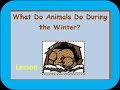 Animal Migration and Hibernation Concepts