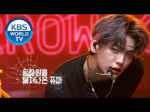 TOMORROW X TOGETHER PUMA 동물원을 빠져나온 퓨마 Music Bank 2020 06 12