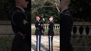 Changing of the Guard Rifle Inspection