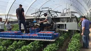 2017 Agrobot Demo