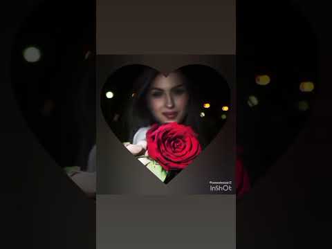 حالات واتس اب غرور ننوش ورده وشايل ورده خوفي الناس حسدهورده وشايل ورده 