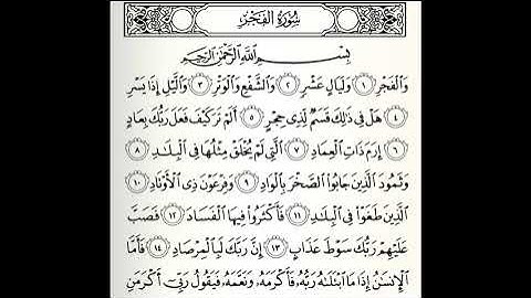 سورة الفجر القارئ محمد صالح ابو زيد