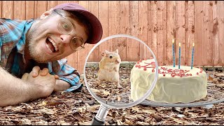 Baking A Cake For A Rat That I Found! by Garrett Watts 2,731,324 views 4 years ago 32 minutes