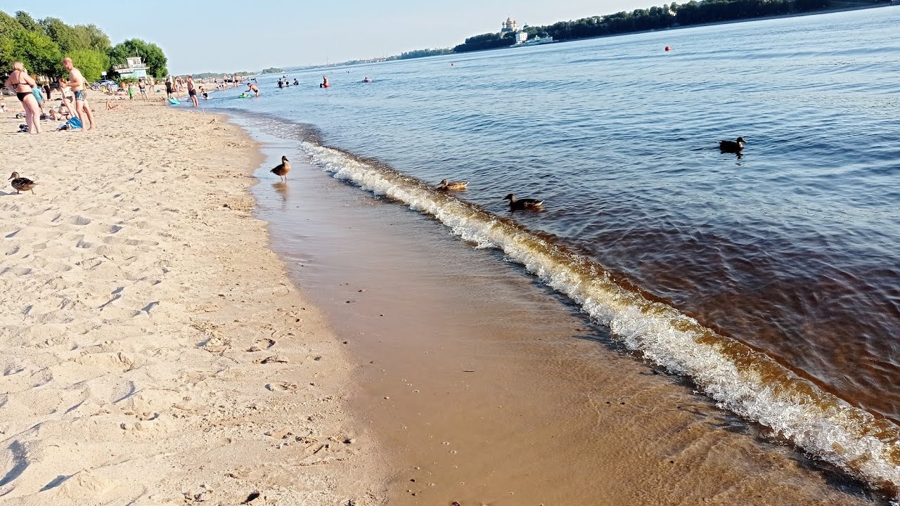 Пляжи Белгородской области, где можно купаться. Подборка лучших пляжей области