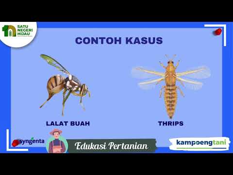 Dosis & Fungsi
