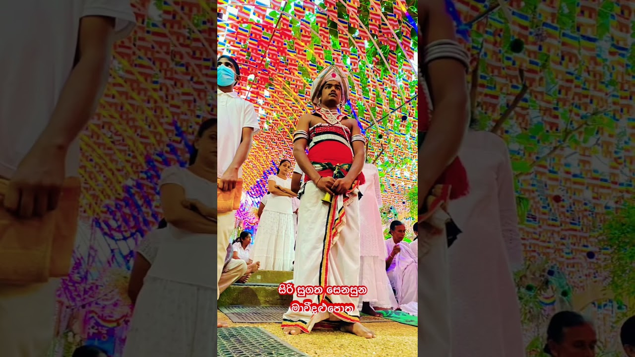 සුගත සෙනසුනේ දවසක් 