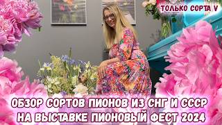 Сорта пионов из СНГ и СССР на выставке Пионовый фест 2024