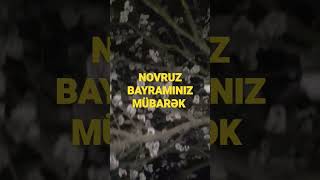 NOVRUZ BAYRAMINIZ MÜBARƏK OLSUN.