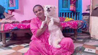 My dog with my day-1 || Trupti’s good life || #new #trending #dailyvlog