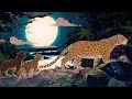The Jaguar's Story book trailer