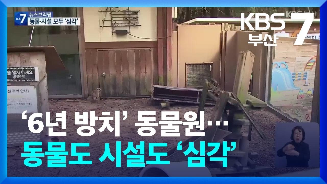 ‘6년 방치’ 동물원…동물도 시설도 ‘심각’ / KBS  2026.02.25.