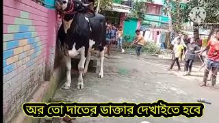 কোরবানির পাগলা গরুর ভাইরাল টিকটক ভিডিও🤣 | Pagla goru paglami 🔥 pagla goru 2023 | funny tiktok video