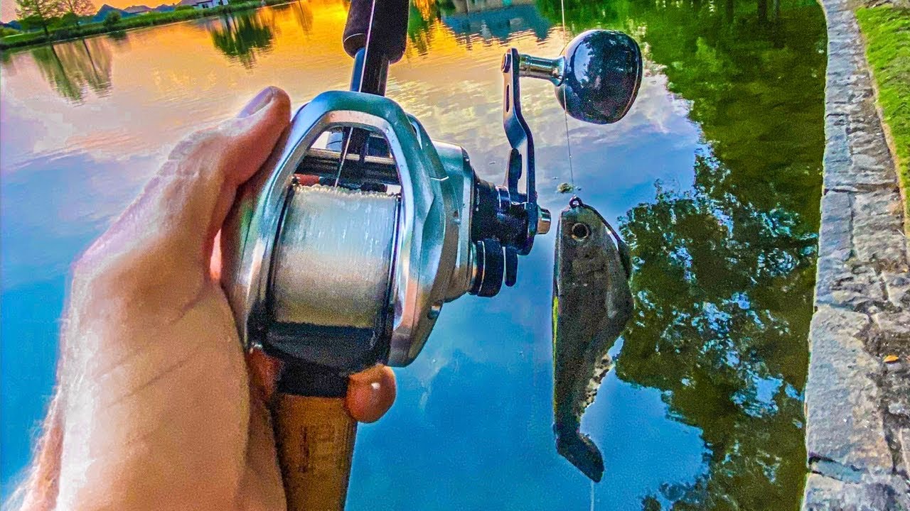 1 ROD 1 REEL HEAVY SWIMBAIT CHALLENGE! (Working Class Zero Citizen