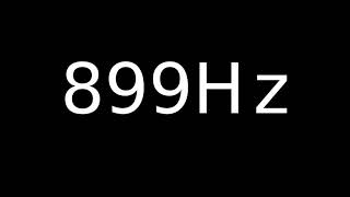 Speaker Sound Test 899Hz