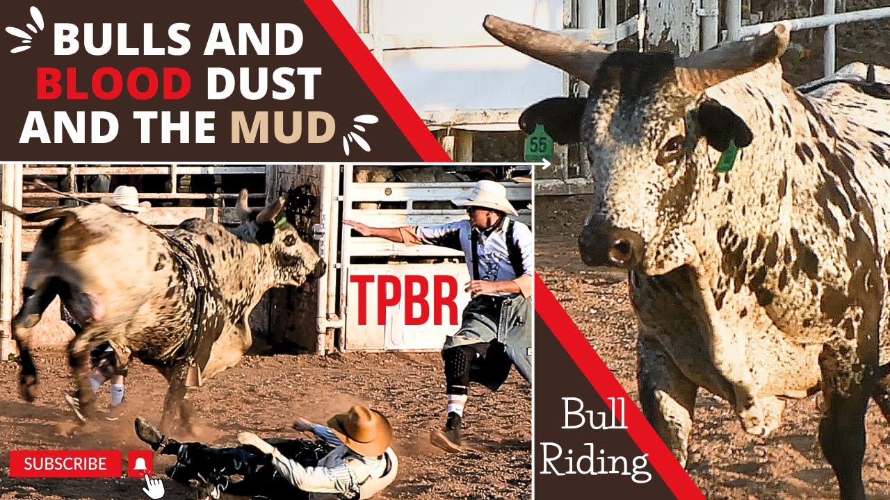 BULL RIDERS Gettin WRECKED 2023 PBR | Territorial Professional Bull ...