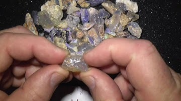 Opalised fossils from Lightning Ridge Australia RP771