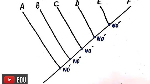 O que é o Sistema filogenética?