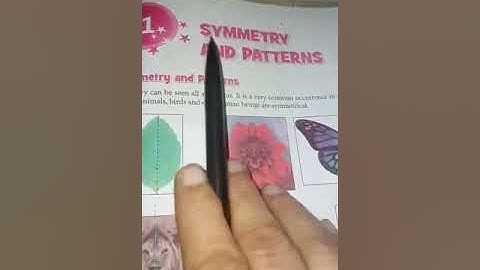 Class 5: Maths (Unit 21 - Symmetry and Pattern)