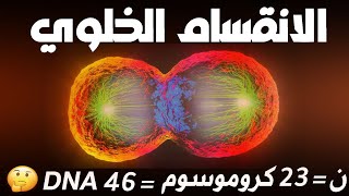 الانقسام الخلوي | الفرق بين عدد الصبغيات والمجموعه الصبغيه وعدد الكروماتيدات و عدد جزيئات DNA 🧬🔥