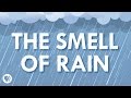 Understanding the Smell of Rain and Its Effects